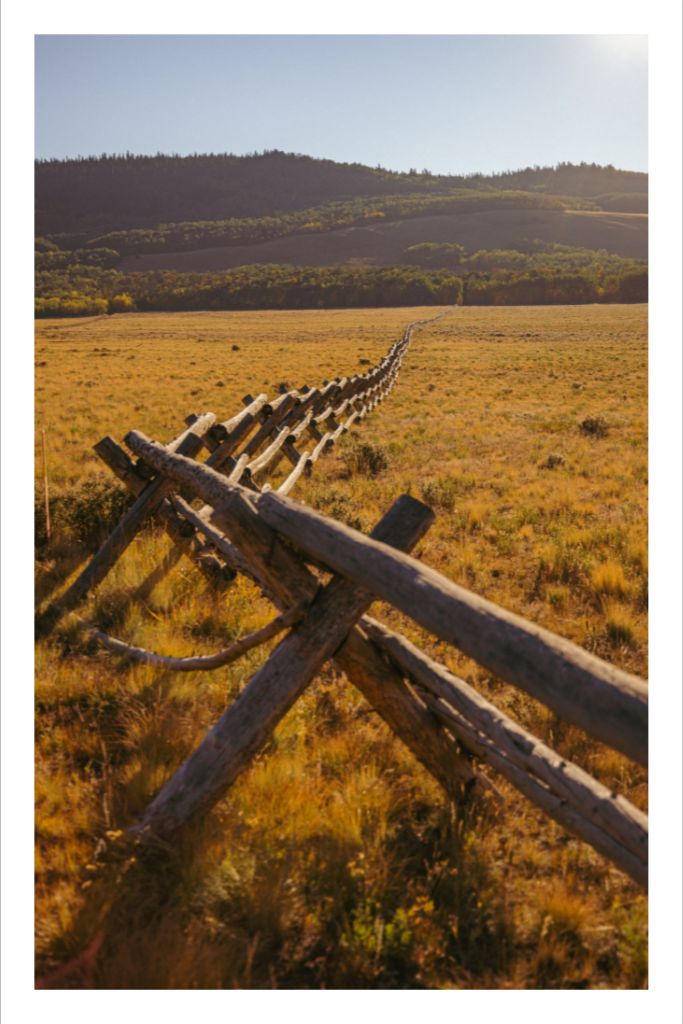 Fence Line